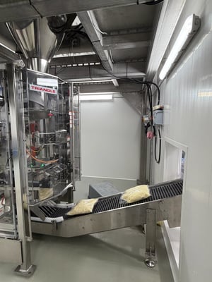 Cheese Plant - Don (1)