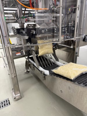 Cheese Plant - Don (2)