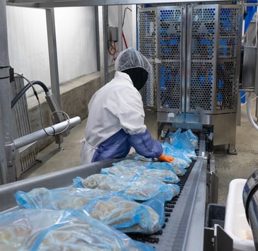 TRI_Cuctom Cuts_001-1