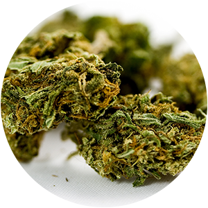 TRI-Markets-ICON-Cannabis