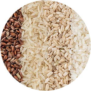 TRI-Markets-ICON-Rice