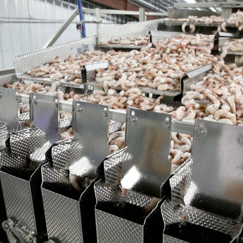 mult-weigher-feed-syst